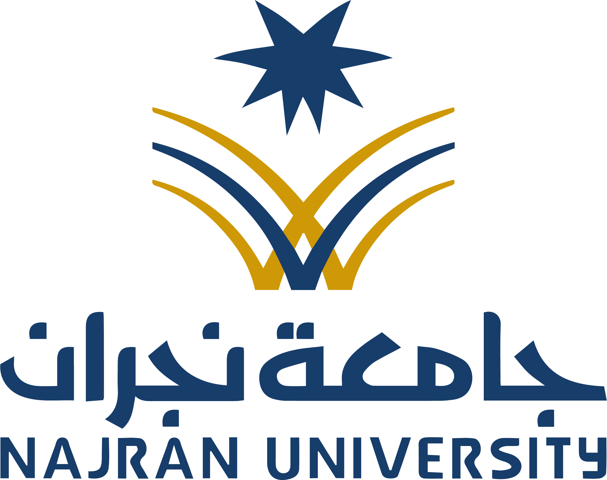 جامعة نجران 